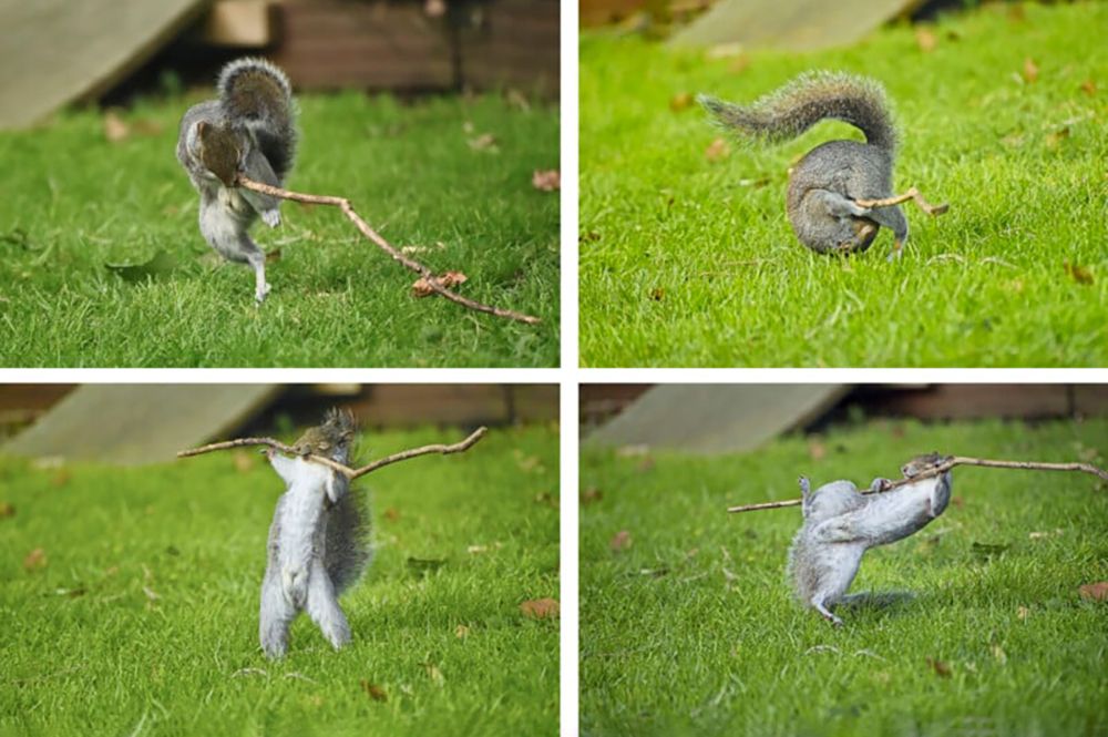 Фото: Flynn Thaitanunde-Lobb
