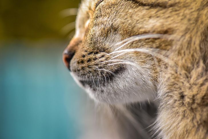 Фото: Shutterstock/Fotodom.ru