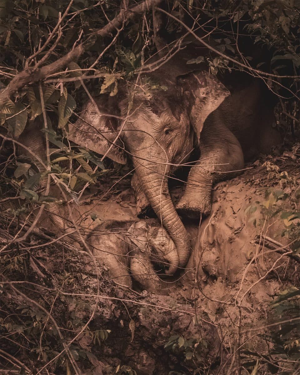 Финалист конкурса — Тара Кин, Ирландия. Фото: Sony World Photography Awards 2025