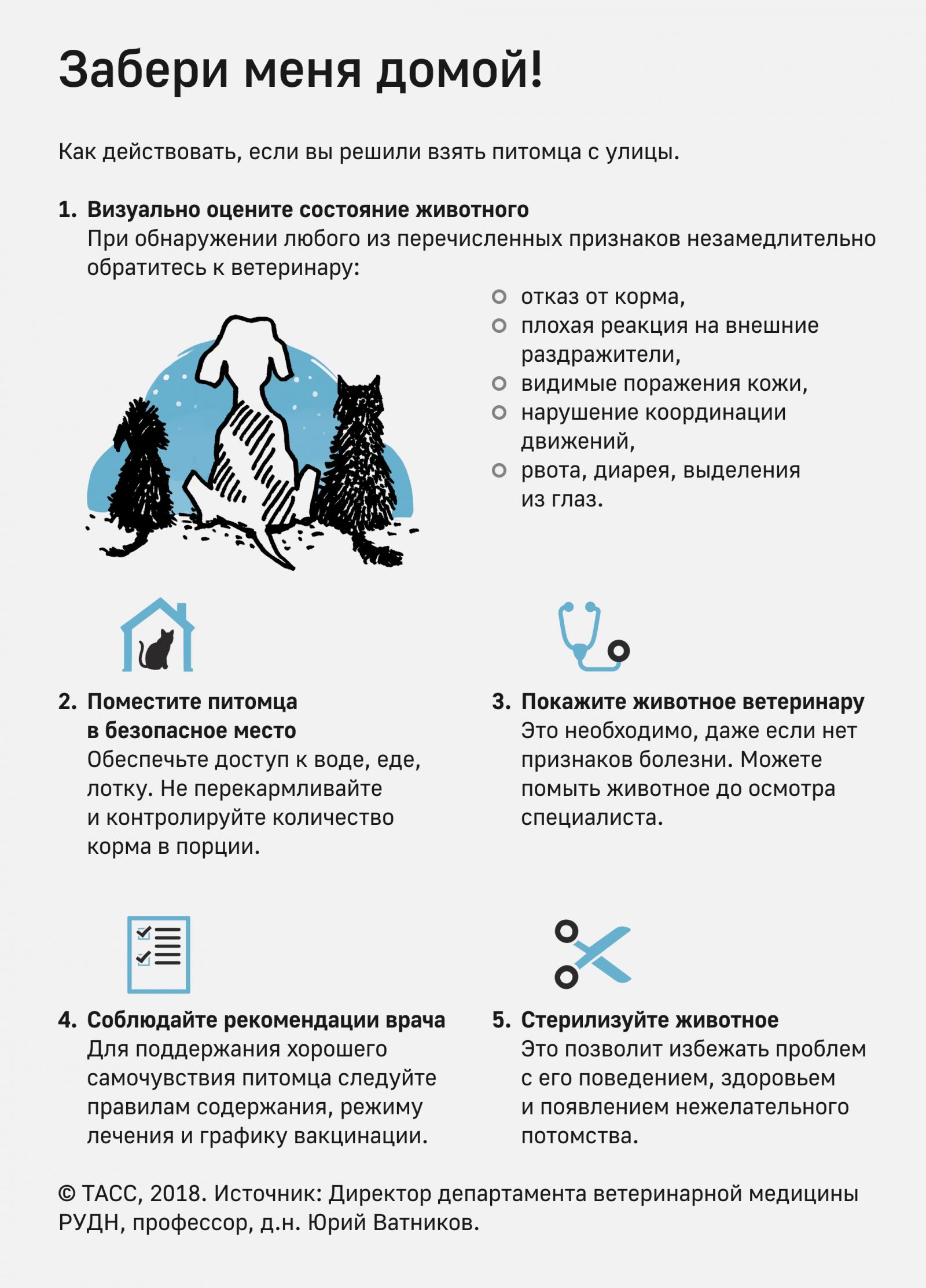 Инфографика