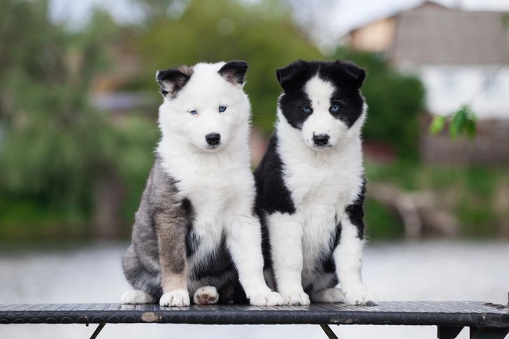 Источник: Shutterstock/Fotodom.ru