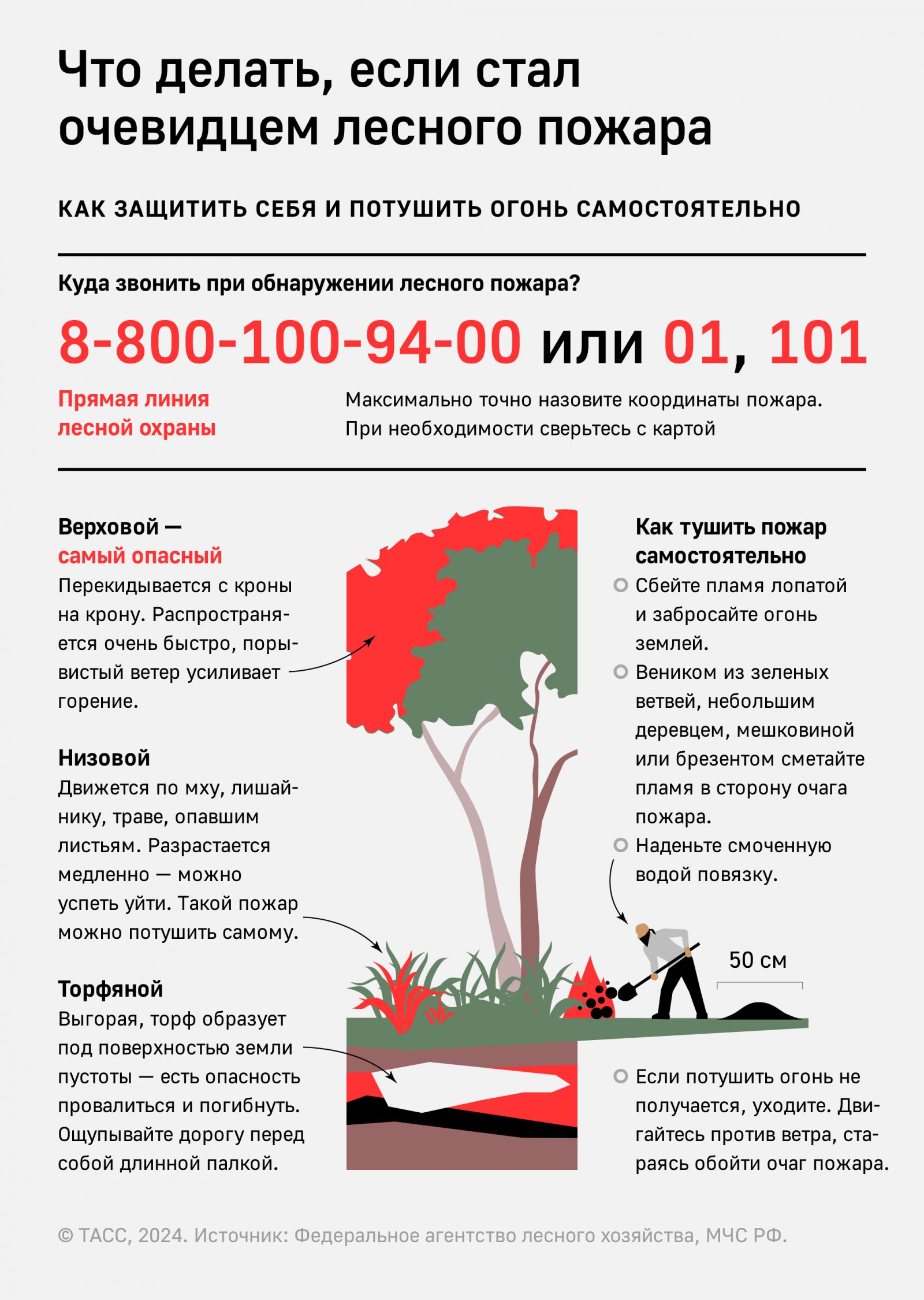 Инфографика