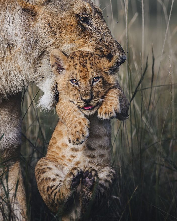 Фото: Randall Ball