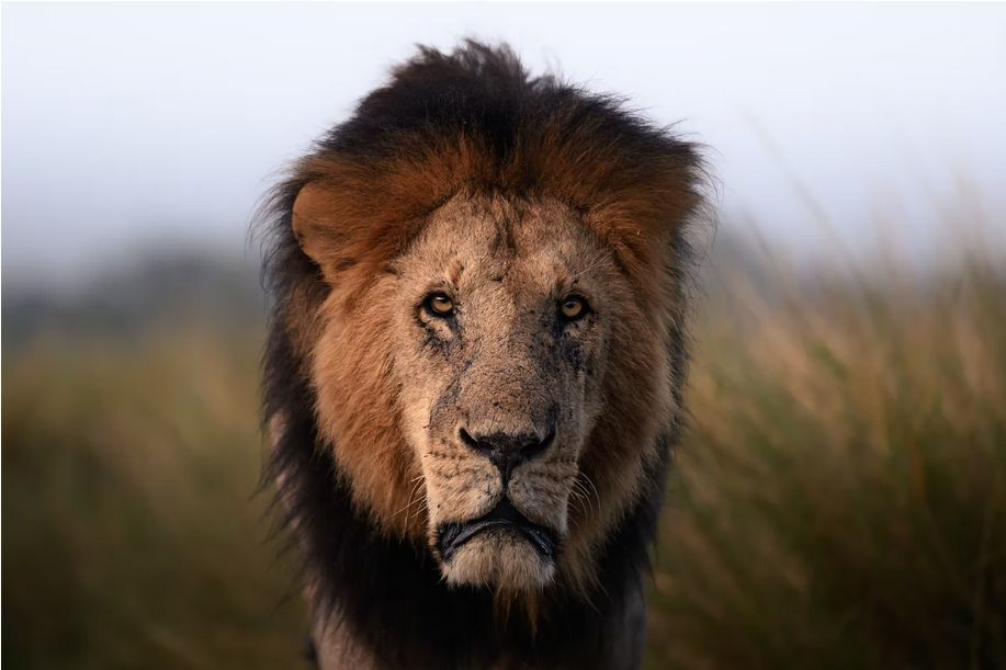 Фото: Randall Ball
