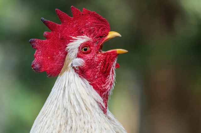 Фото: shutterstock.com
