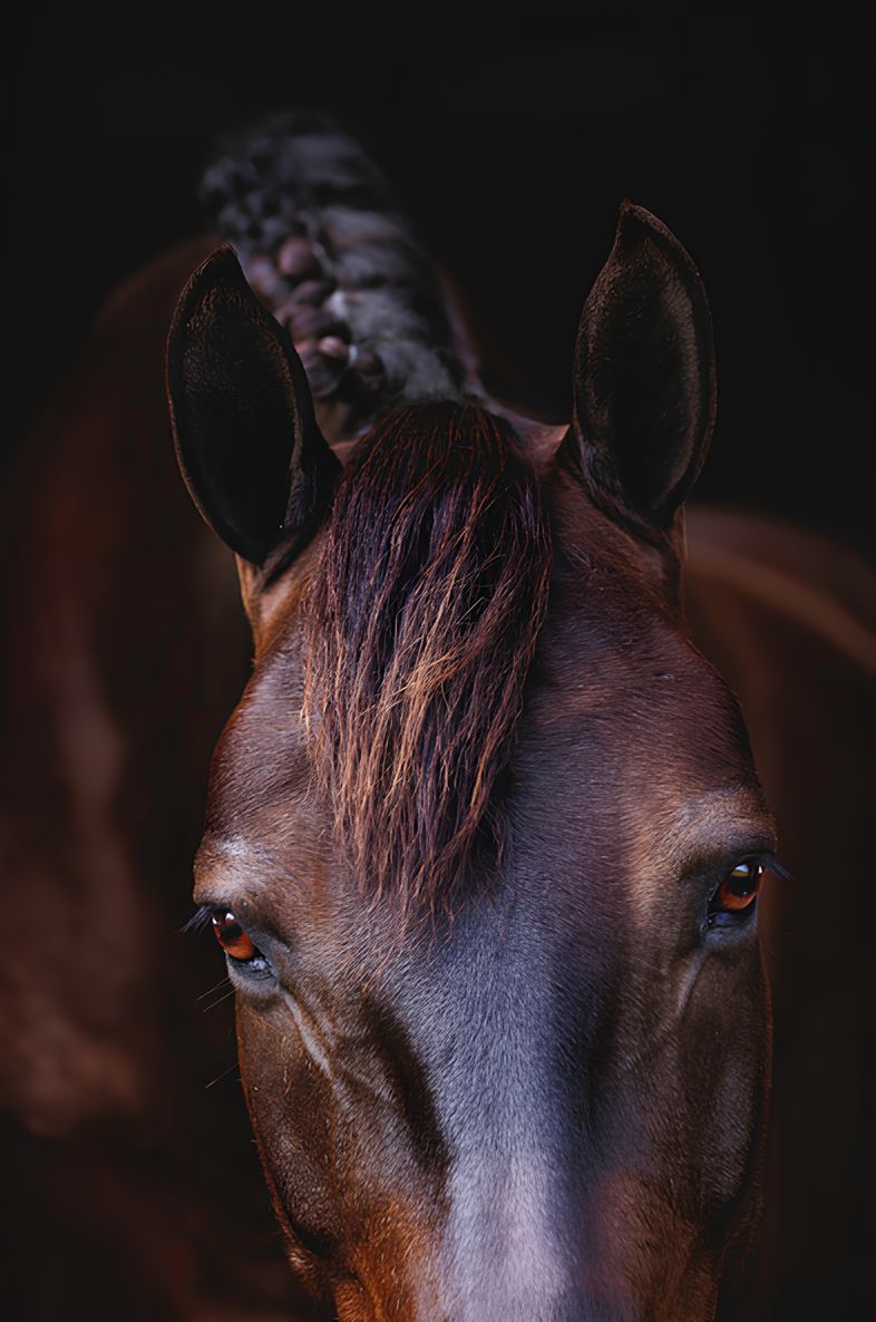 Фото: Stacy Wendkos