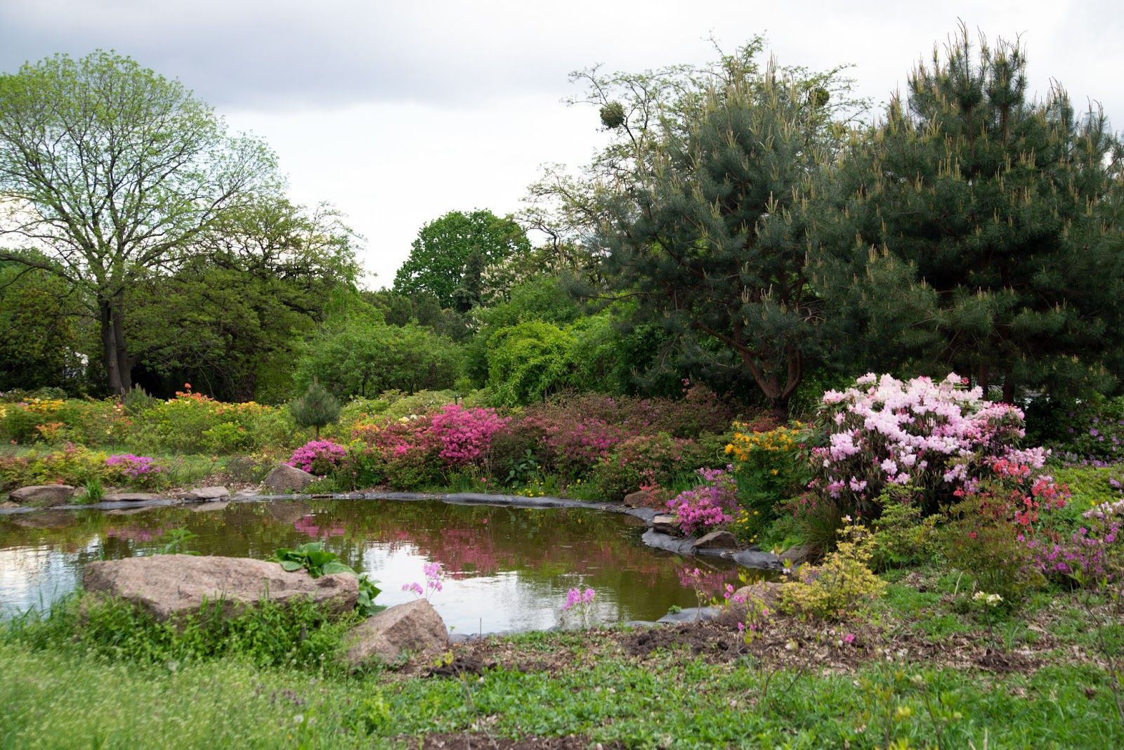Фото: landscape3d.ru