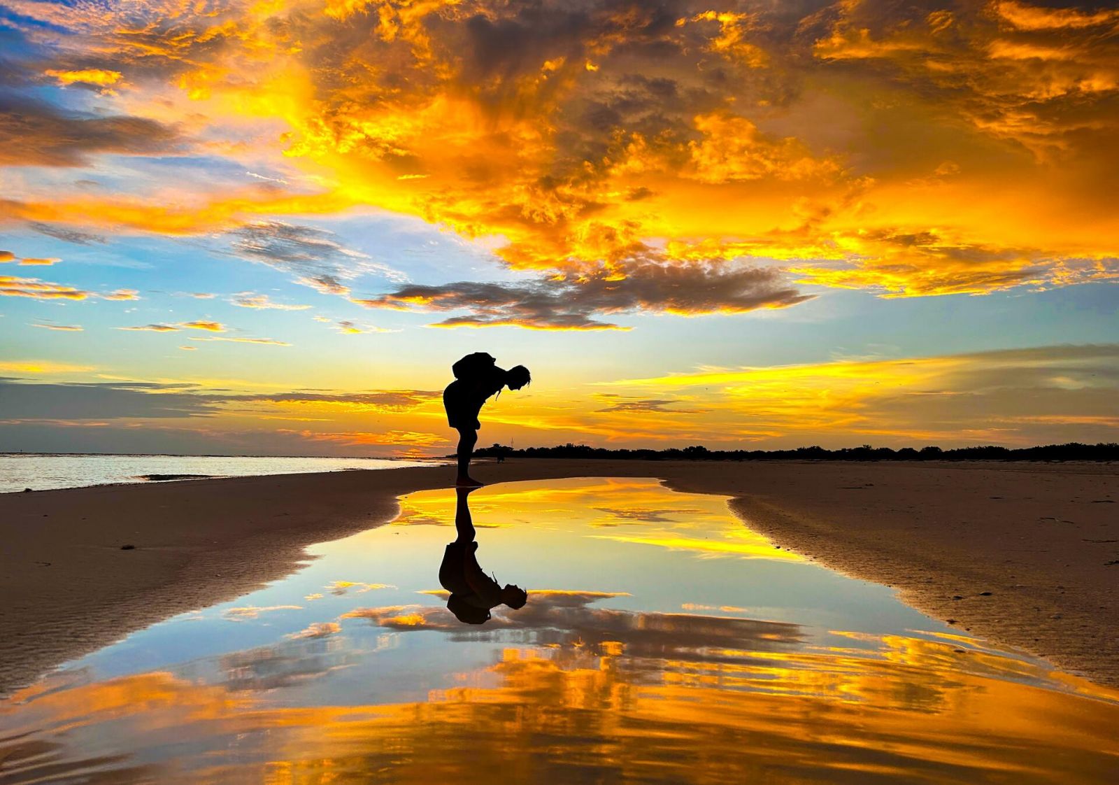 Фото: Tiffany Gloeckner / Florida Wildlife Federation Photo Contest 2025