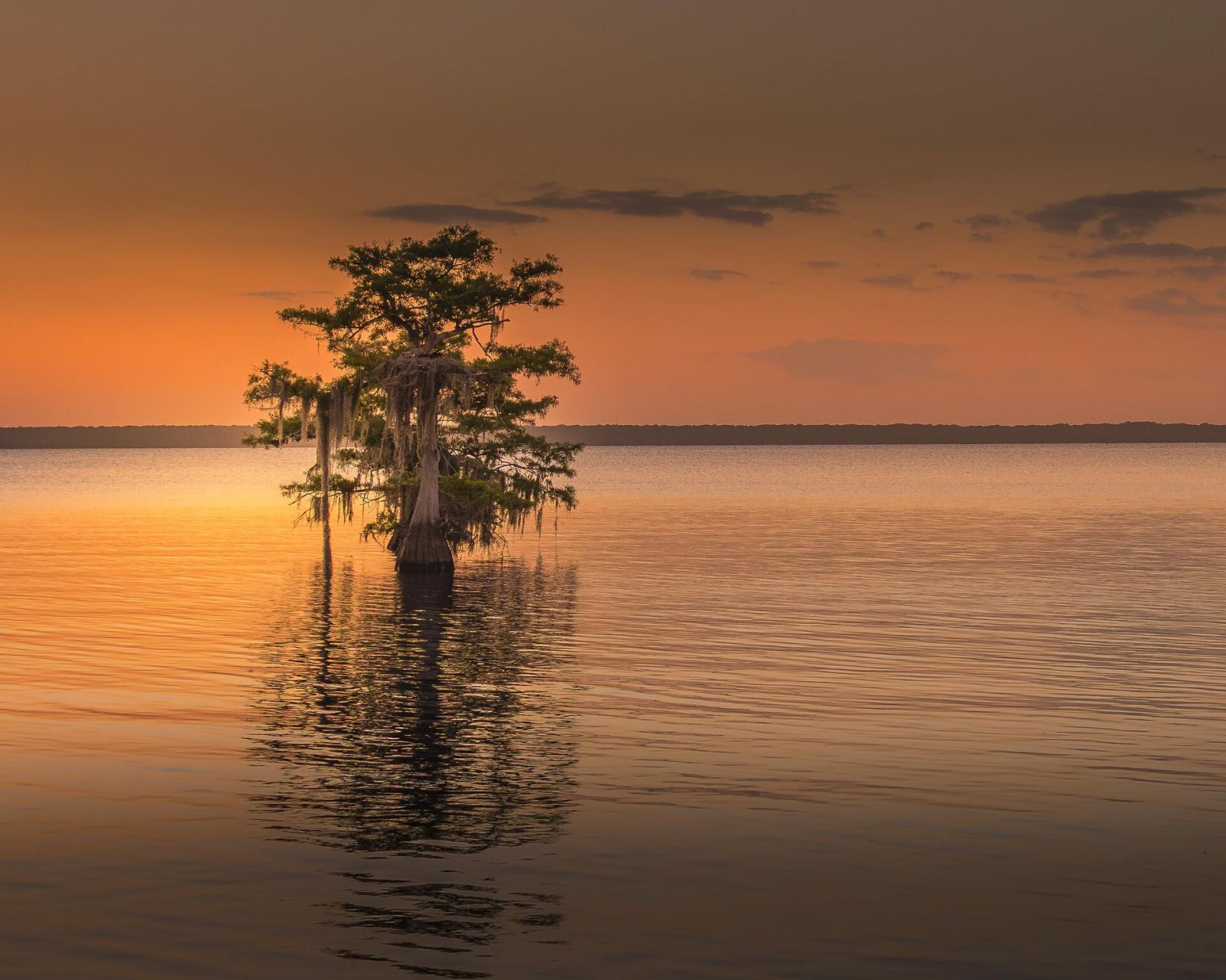 Фото: Judy Haran / Florida Wildlife Federation Photo Contest 2025