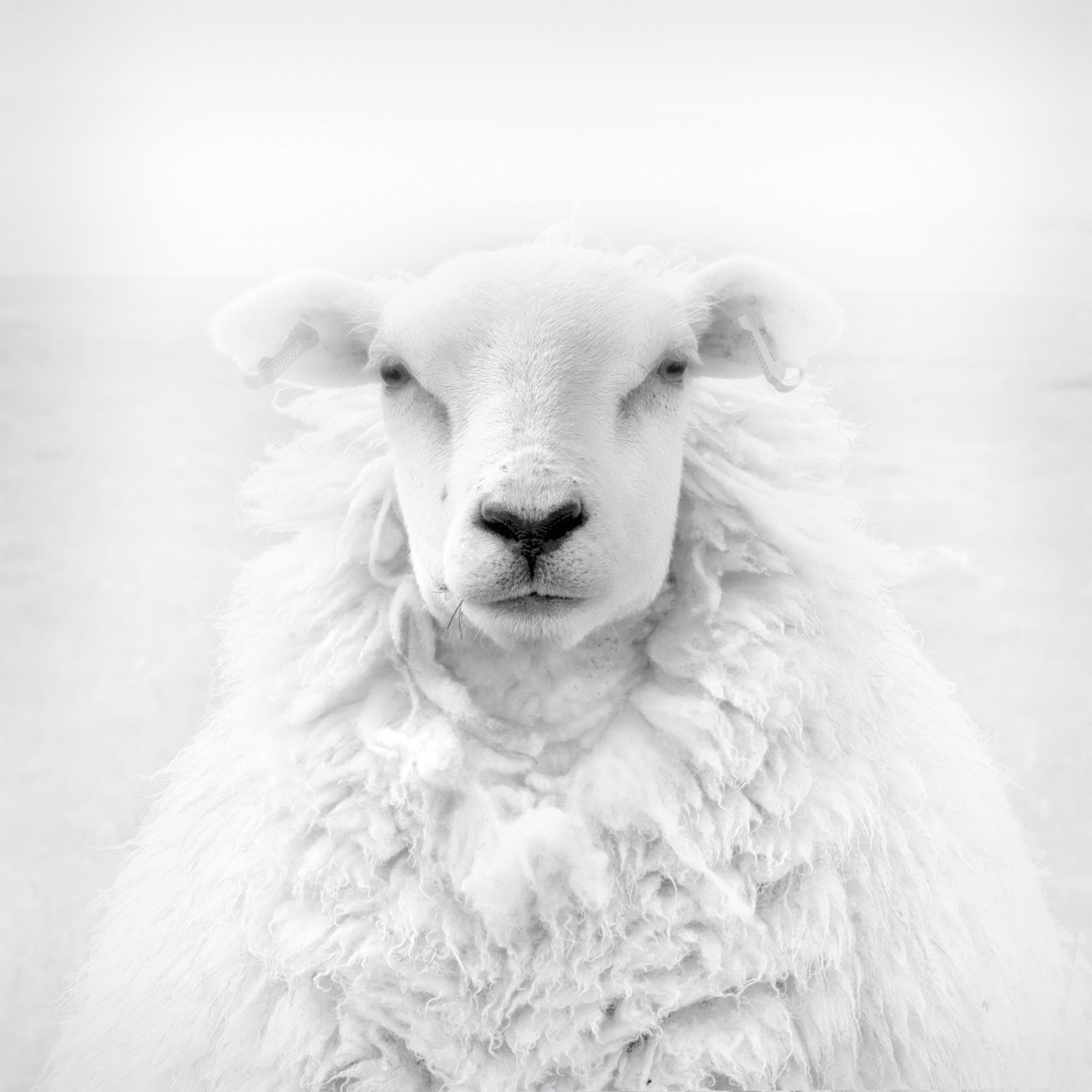 Фото: Jens Winkler