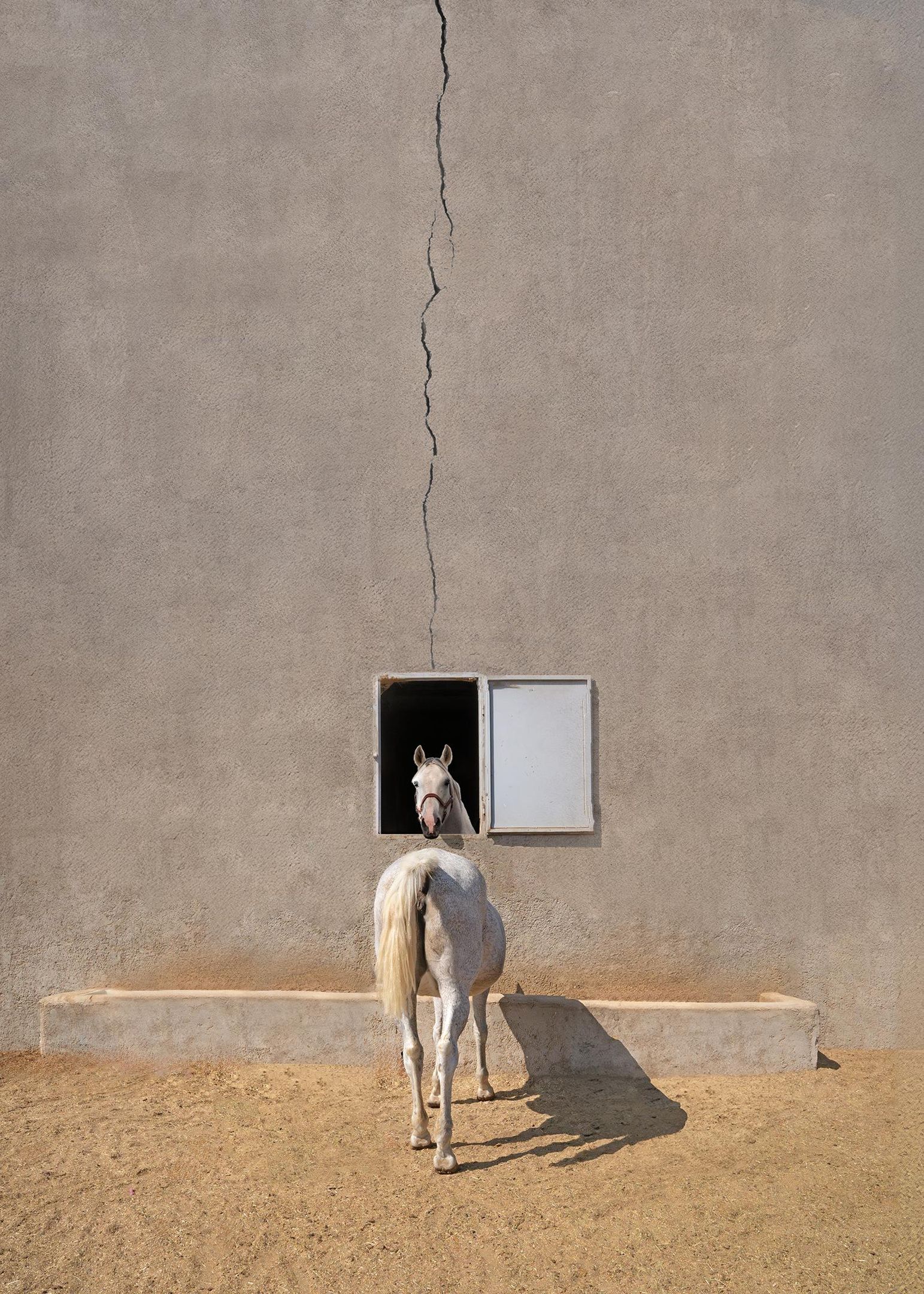 Фото: Abolghasem Khoshro