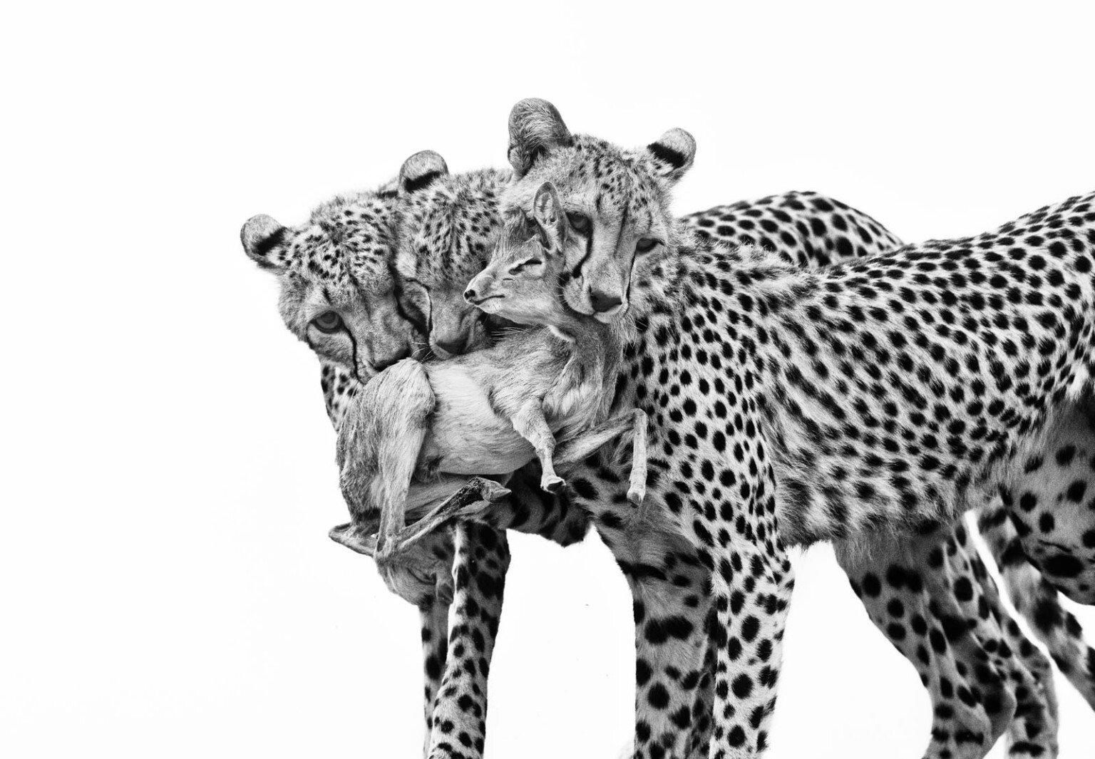 Фото: Marina Cano / WPOTY 2025