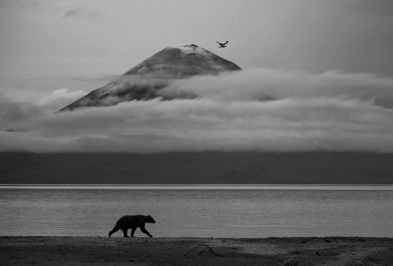 Фото: Kesshav Vikram / WPOTY 2025