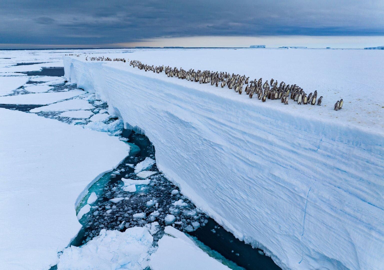 Фото: Bertie Gregory / WPOTY 2025