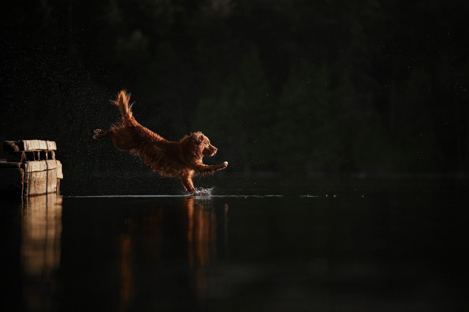 Фото: Shandess Griffin