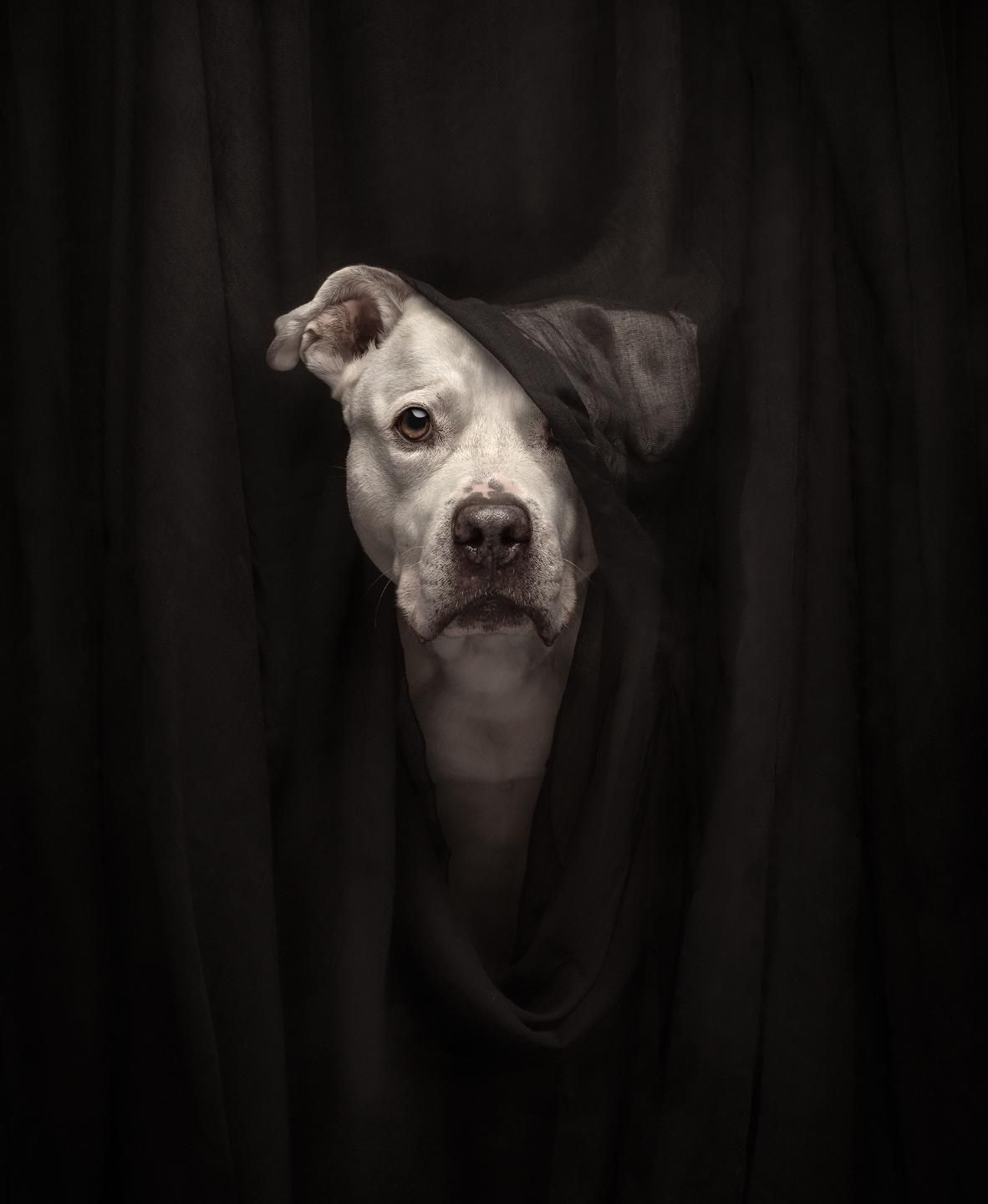 Фото: Katie Brockman