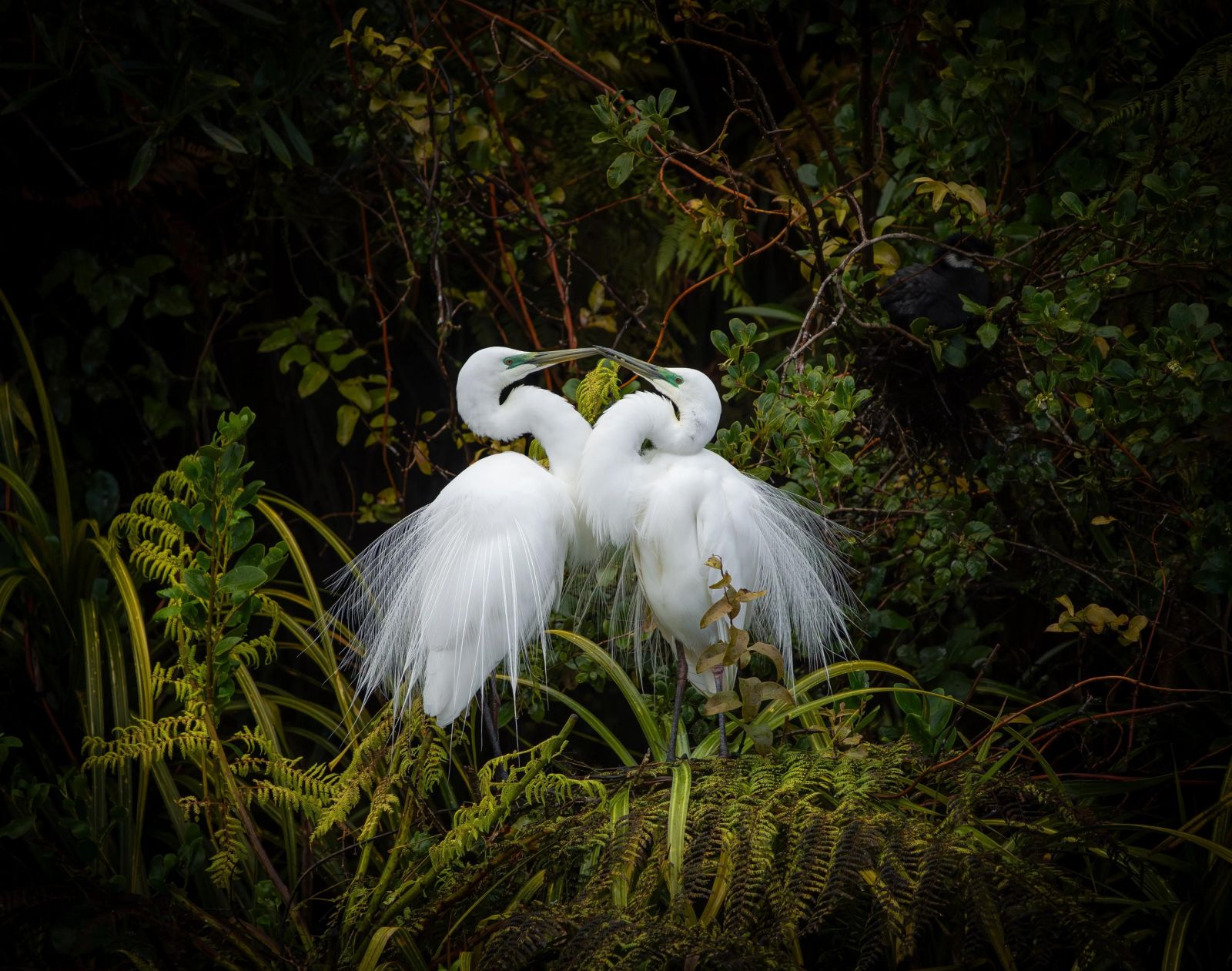 Фото: Leanne Buchan