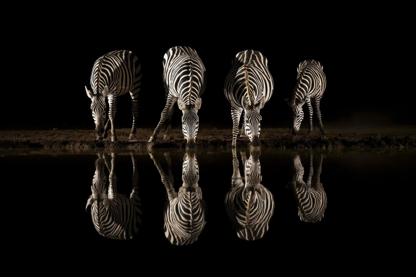Фото: Jason Moore