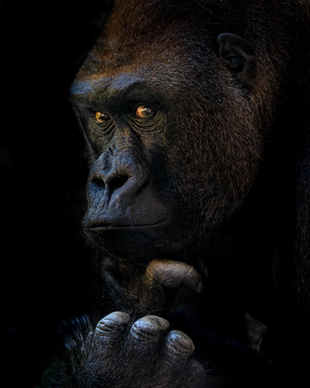 Фото: Linda Smit