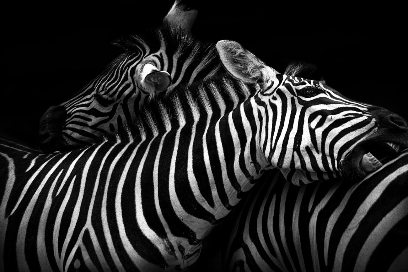 Фото: Makaio Brown