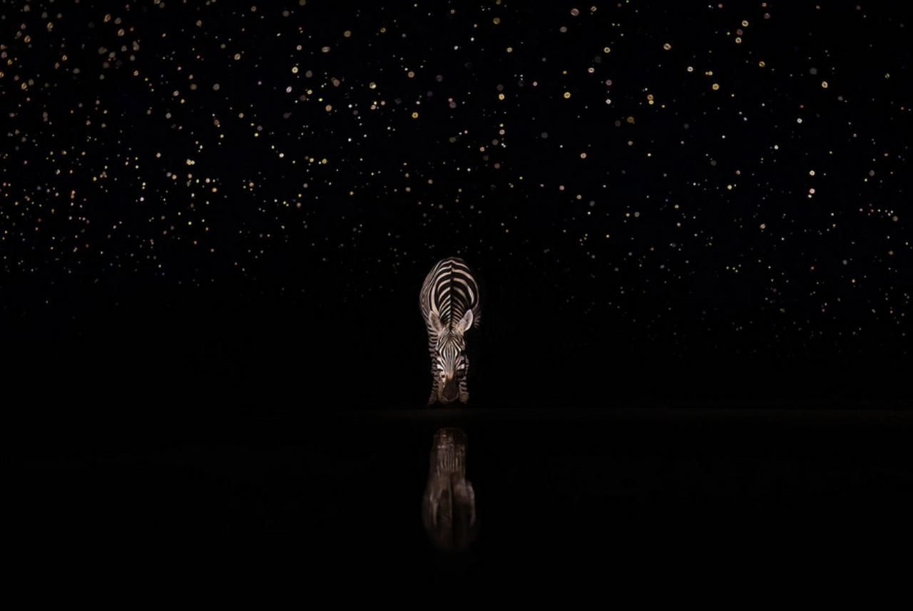 Фото: Xuejun Long