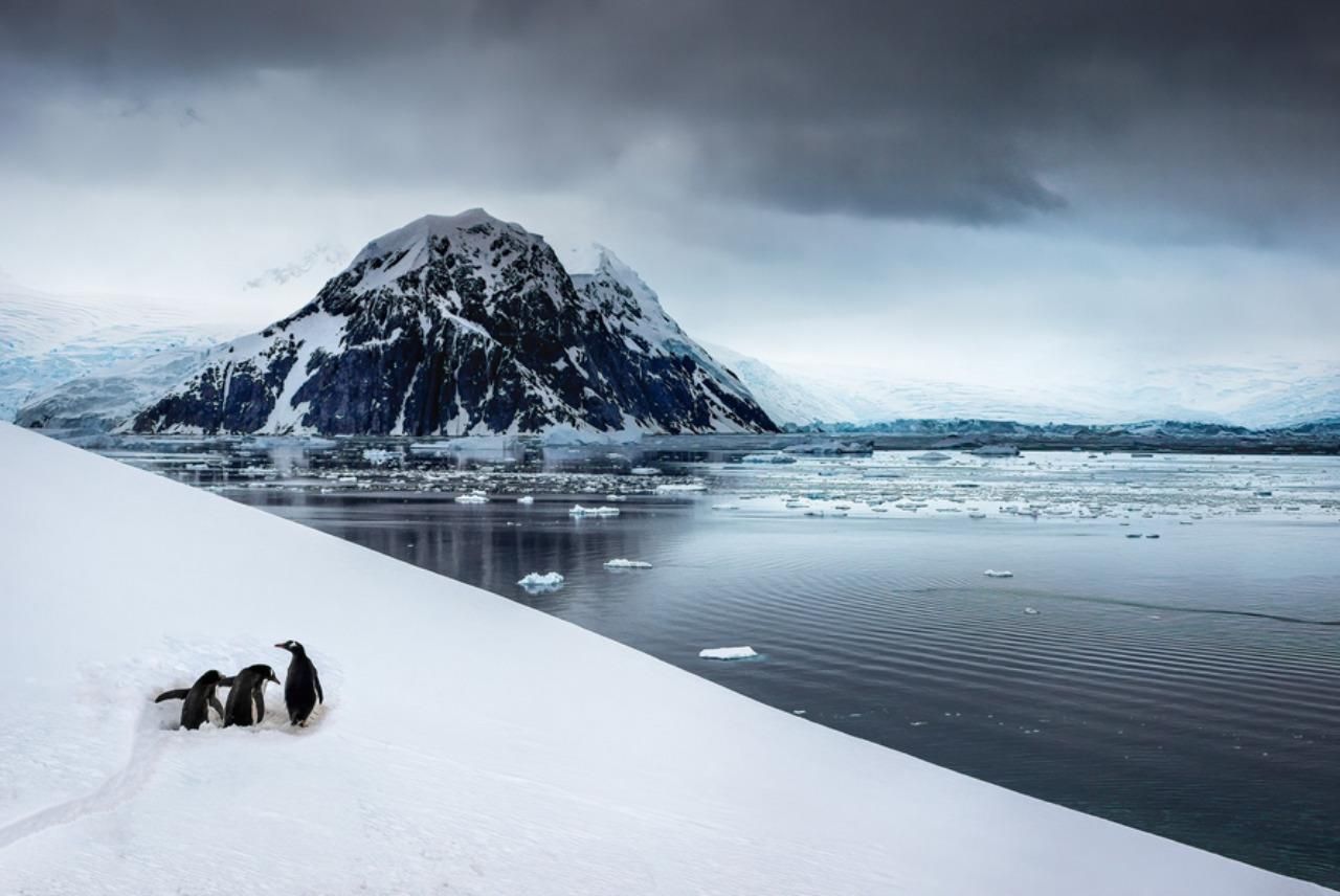 Фото: Michel Groleau