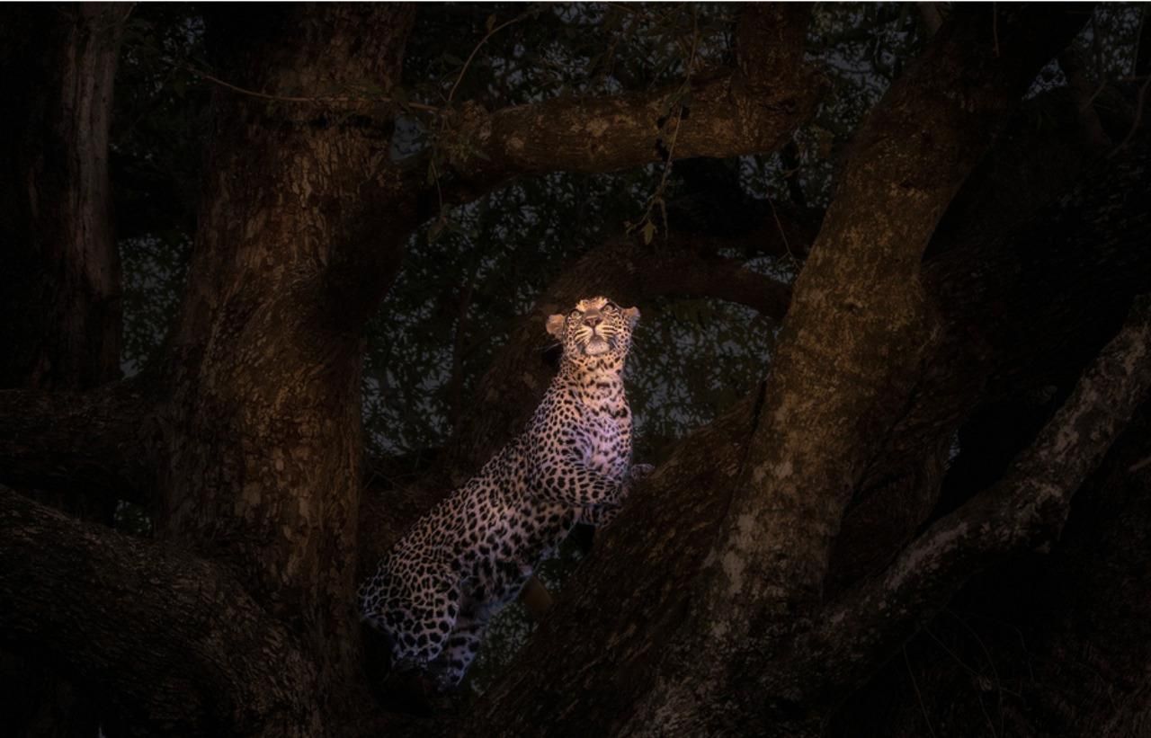 Фото: Xuejun Long