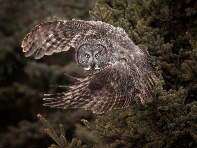 Фото: Paul Kammen