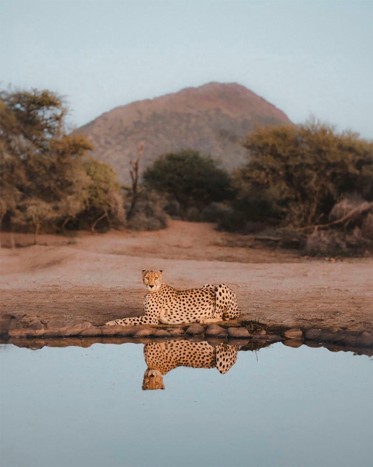 Фото: Alexander Tasho