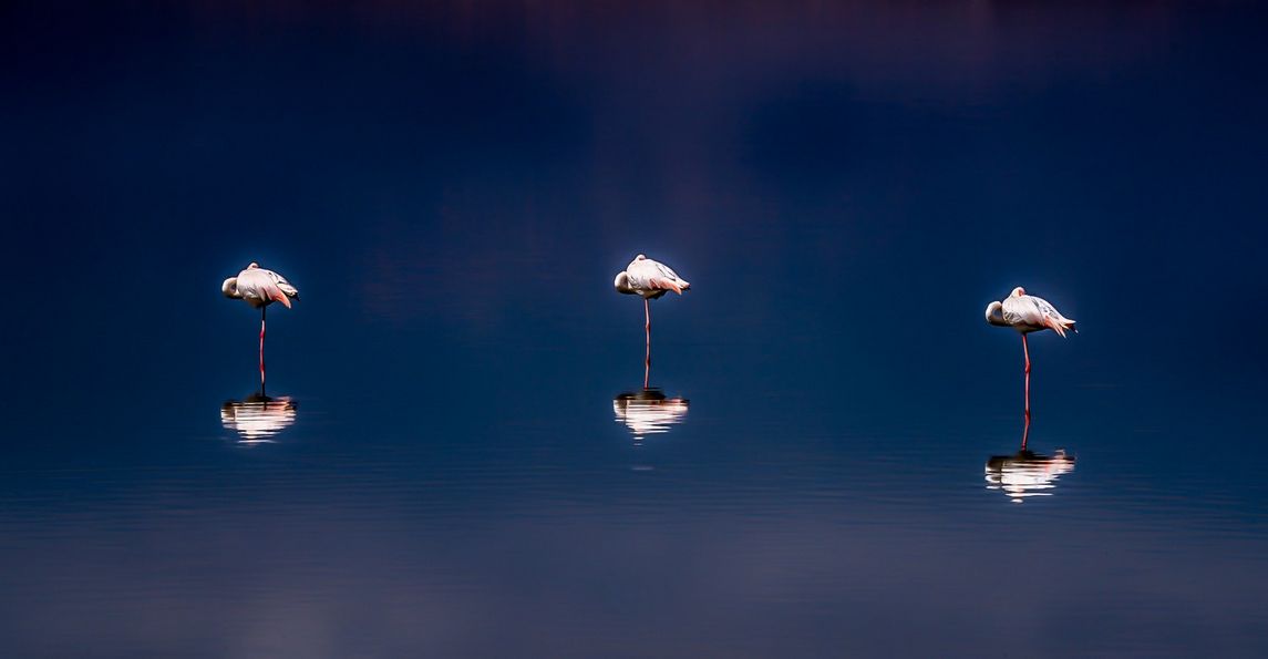 Фото: Steve Sorensen