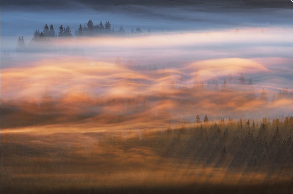 Фото: Martin Rak