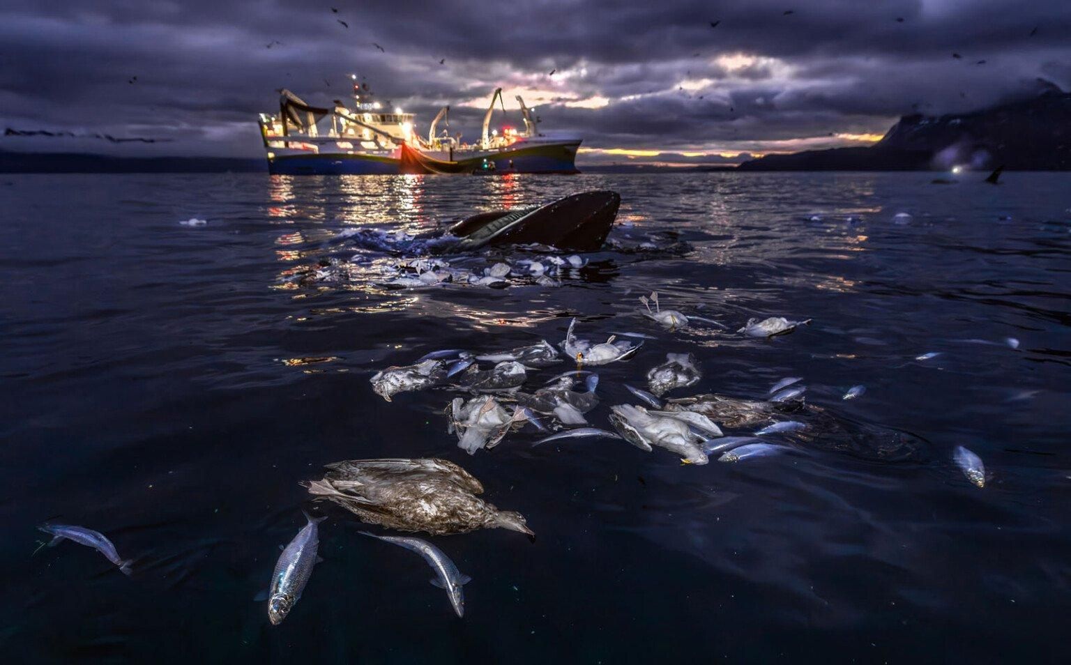 Фото: Audun Rikardsen
