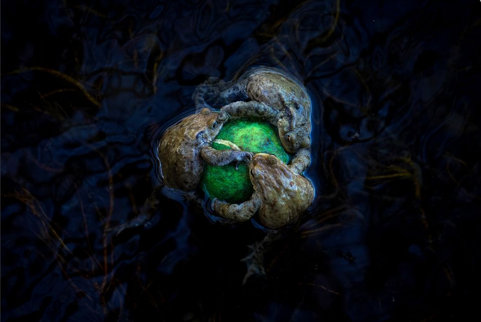 Фото: Daniela Graf