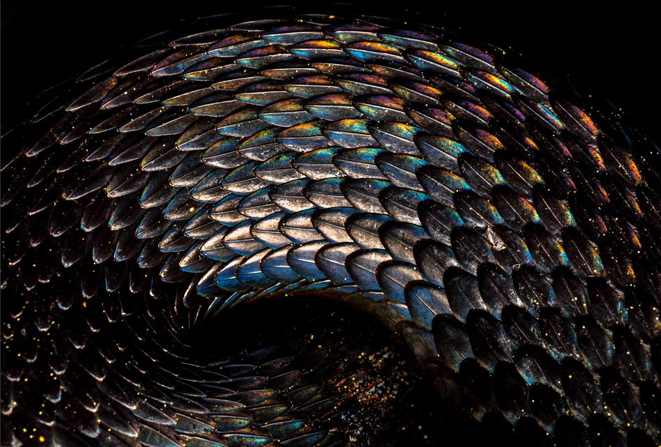 Фото: Bernhardt Schubert