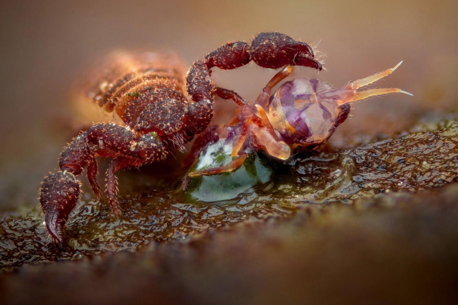 Фото: Alexis Tinker-Tsavalas