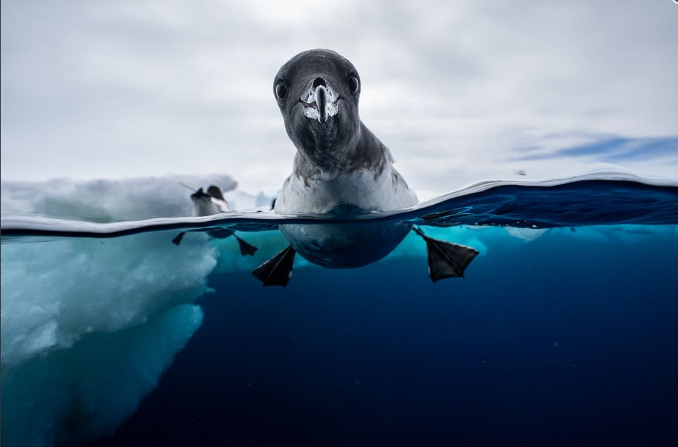 Фото: Jonas Beyer