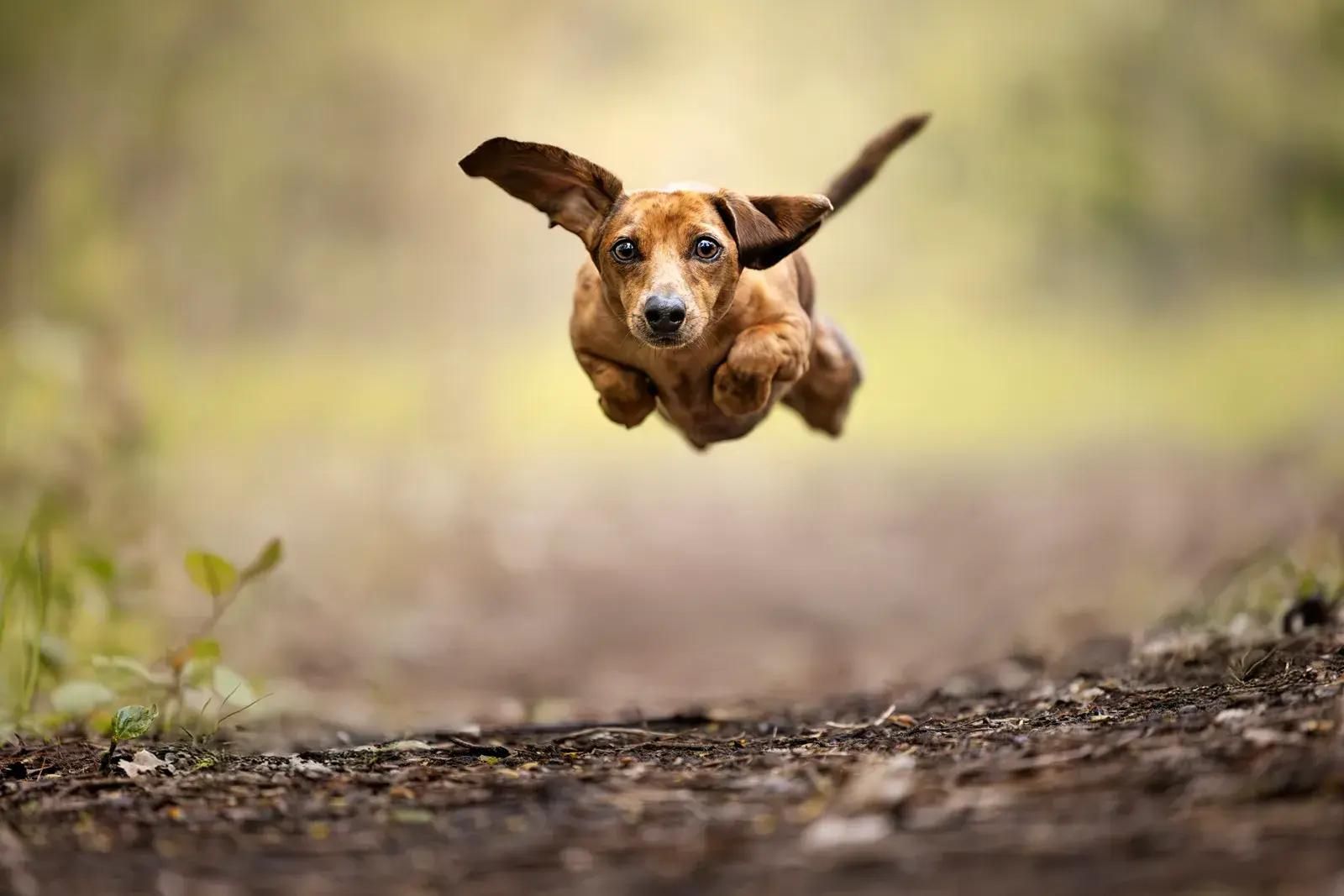 Фото: Jack Jackson