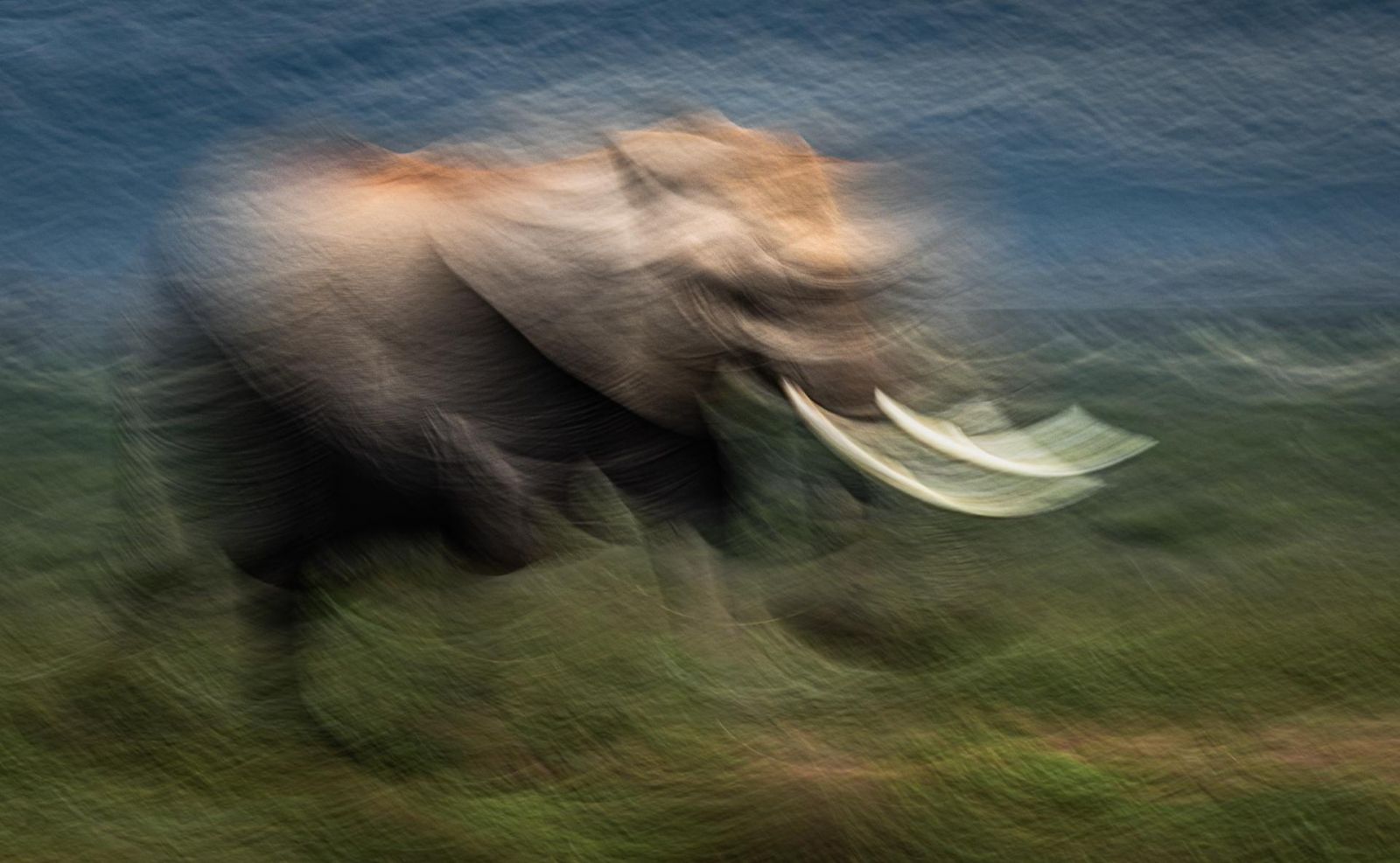 Фото: Ilse Koks