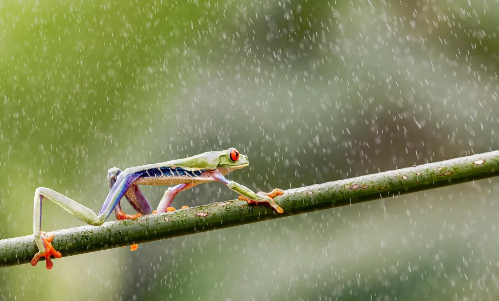 Фото: Arun Mohanraj