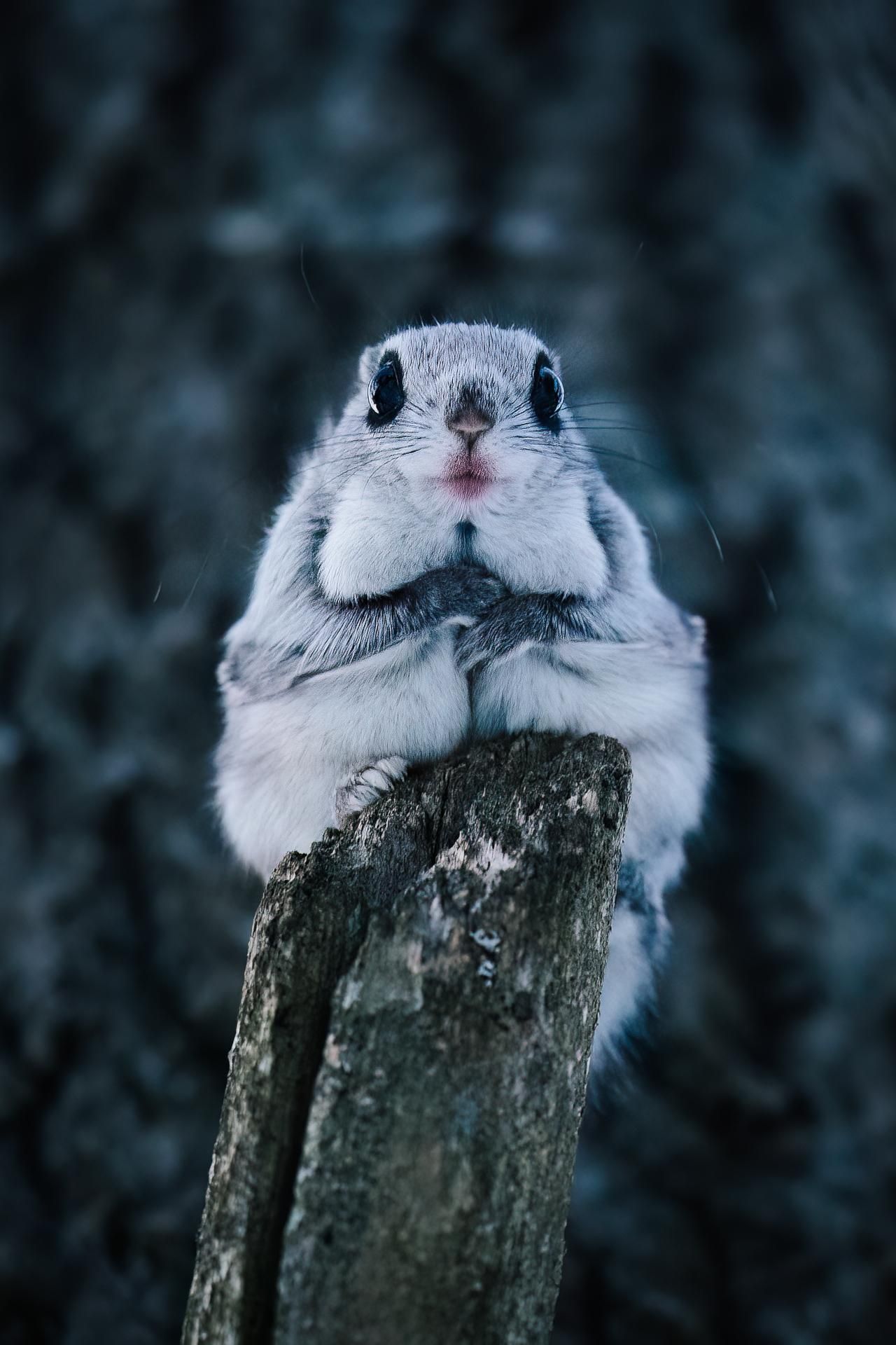 Фото: Tuomas Heinonen
