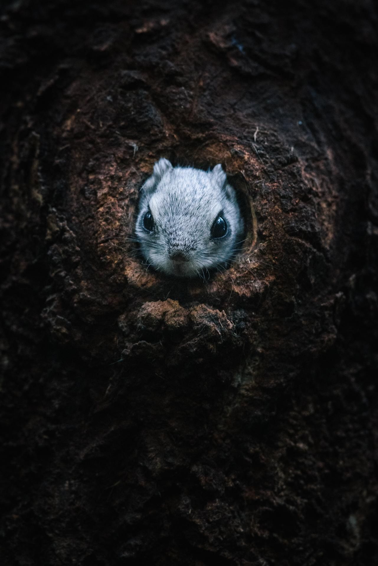 Фото: Tuomas Heinonen