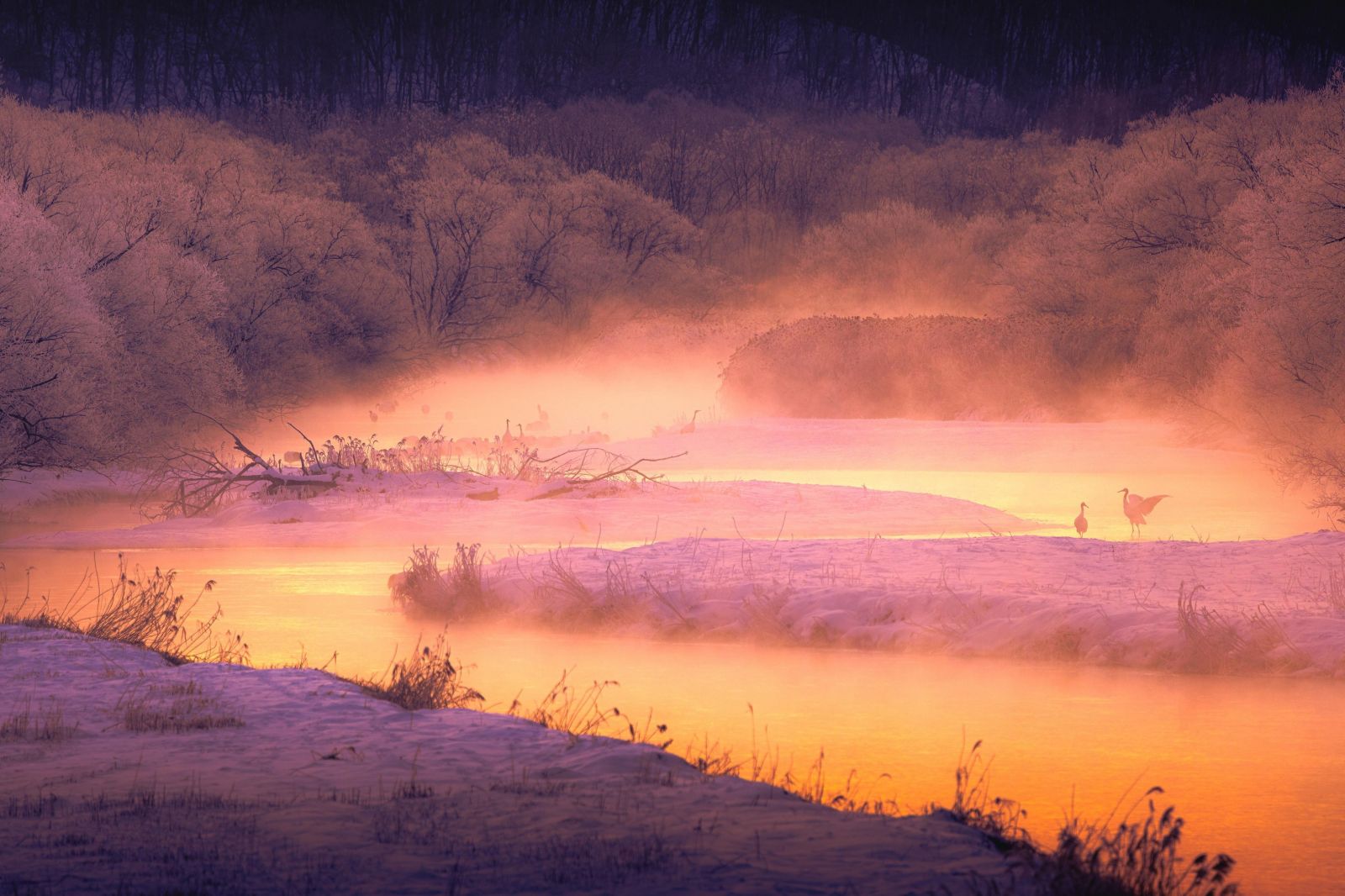 Фото: Francis Leslie Zabala