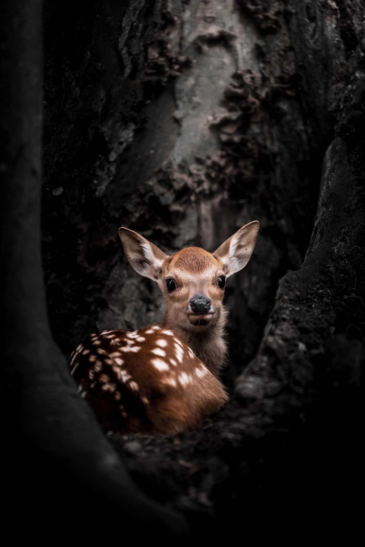 Фото: Kenji Higuchi