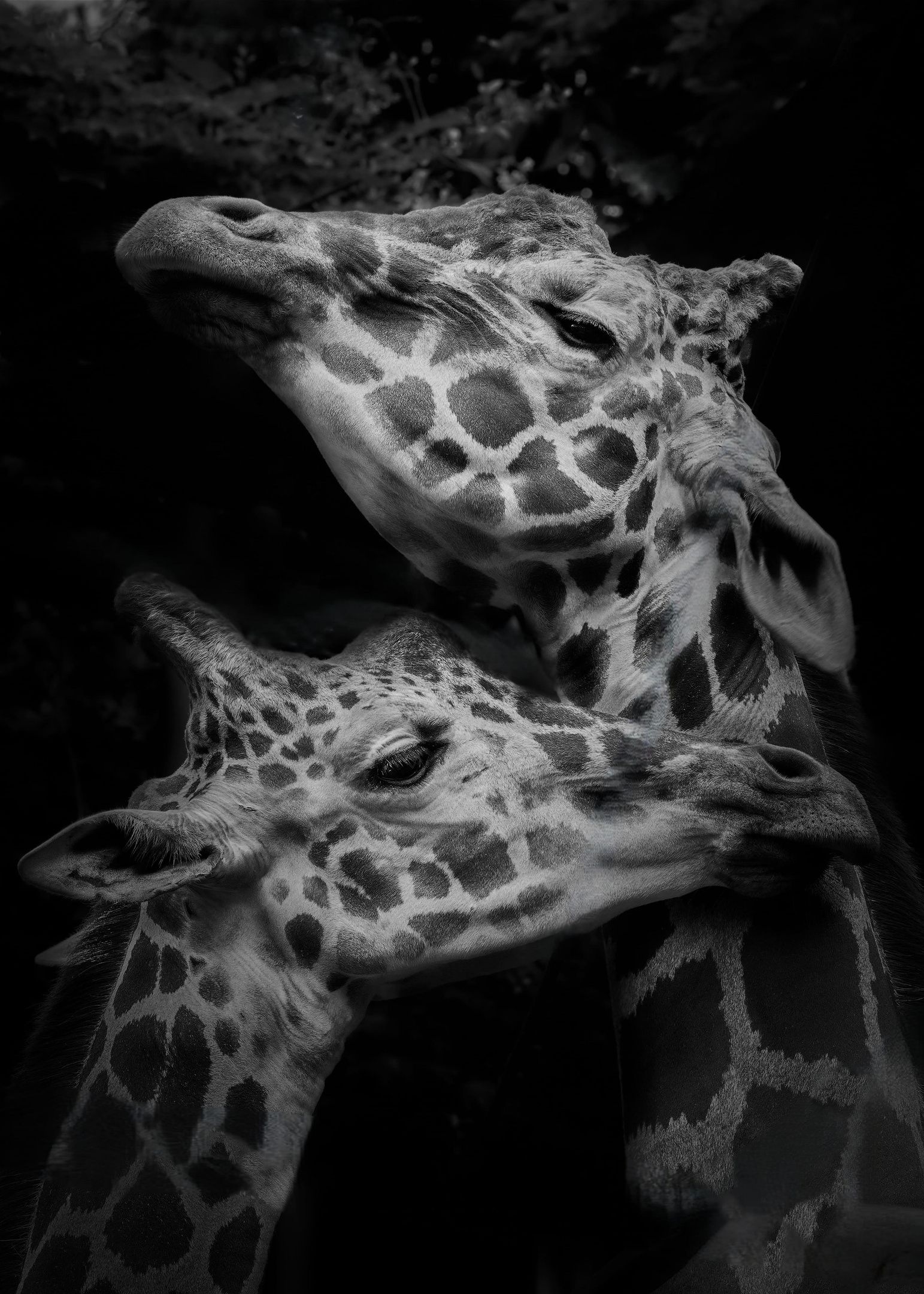 Фото: Yushi Kaisyakuji