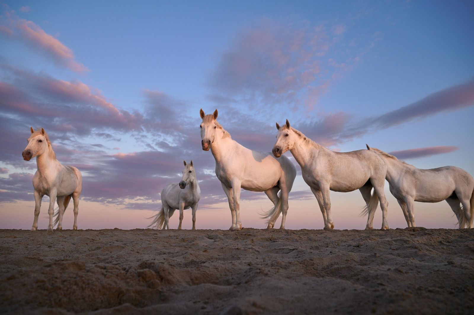 Фото: Giovanna Arnaud Fleming