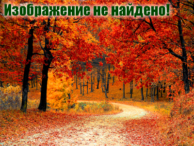 http://www.rosbalt.ru/2006/11/24/276401.html