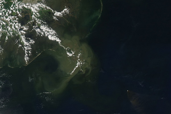 Экологическая катастрофа в Мексиканском заливе