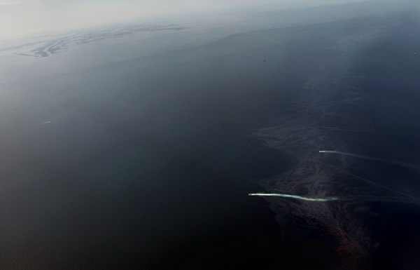 Экологическая катастрофа в Мексиканском заливе