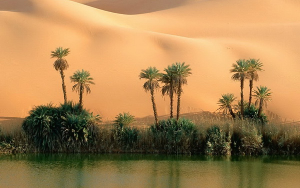 15 удивительных фотографий пустынь