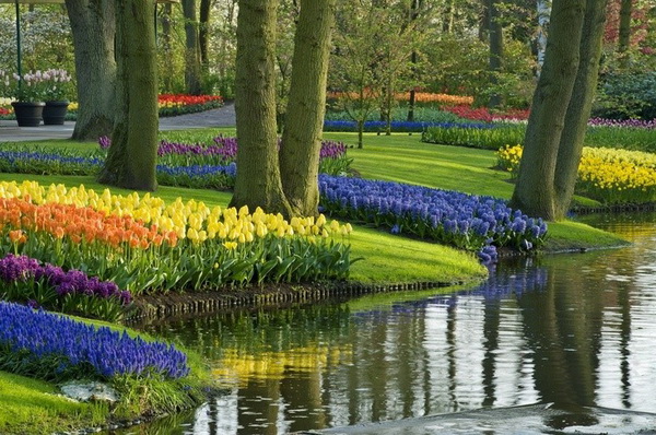 Самые красивые цветочные плантации и парки мира